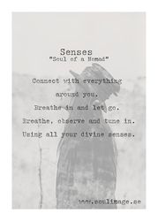 Senses - "Soul of a Nomad"