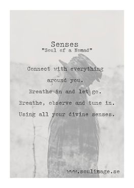 Senses - "Soul of a Nomad"