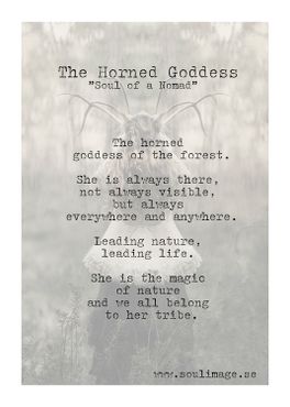 The Horned Goddess - "Soul of a Nomad"