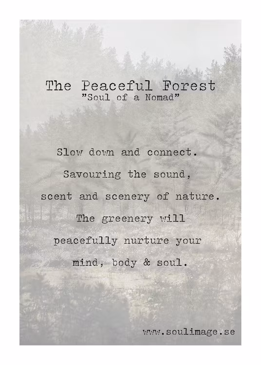 The Peaceful Forest - "Soul of a Nomad"