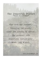 The Peaceful Forest - "Soul of a Nomad"