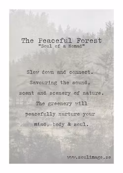 The Peaceful Forest - "Soul of a Nomad"