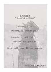 Senses