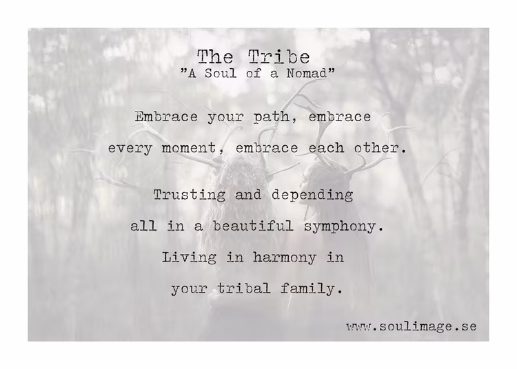 The Tribe