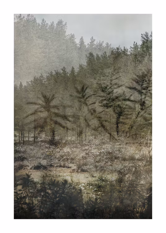 The Peaceful Forest