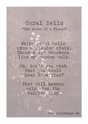 Coral Bells