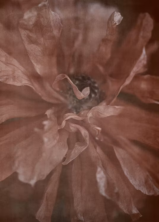 In Full Bloom