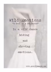 Wild Emotions