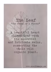 The Leaf