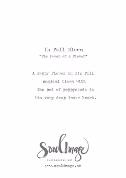 In Full Bloom - Card