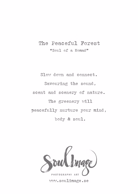 The Peaceful Forest - Card