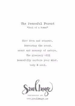 The Peaceful Forest - Card