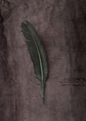 The Green Feather - "Soul Board"