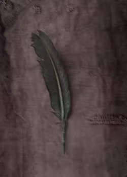 The Green Feather - "Soul Board"