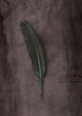 The Green Feather - "Soul Board"
