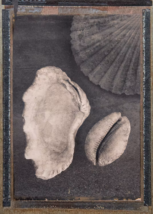 Seashells & Magic - "Soul Board"