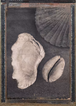Seashells & Magic - "Soul Board"