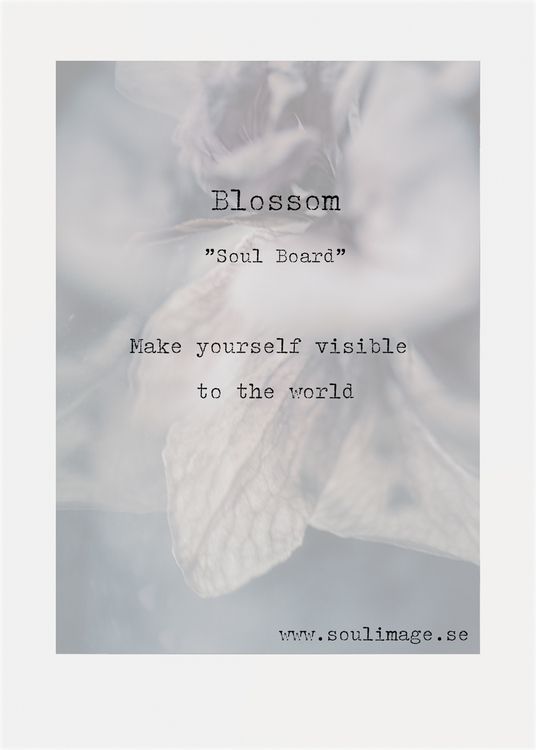 Blossom - "Soul Board"