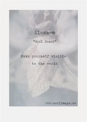 Blossom - "Soul Board"