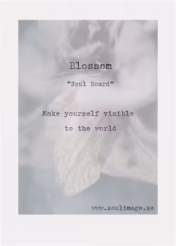 Blossom - "Soul Board"