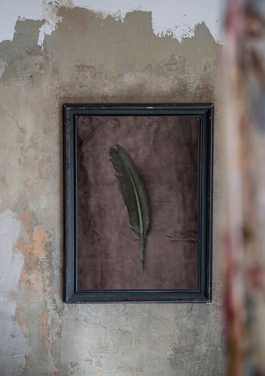 The Green Feather - "Soul Board"
