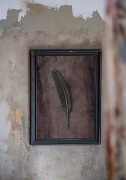 The Green Feather - "Soul Board"