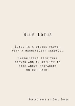 Blue Lotus - ”Reflections”