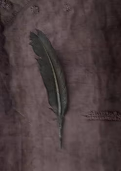The Green Feather - Card
