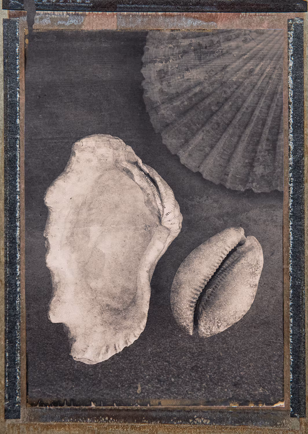 Seashells & Magic - Card
