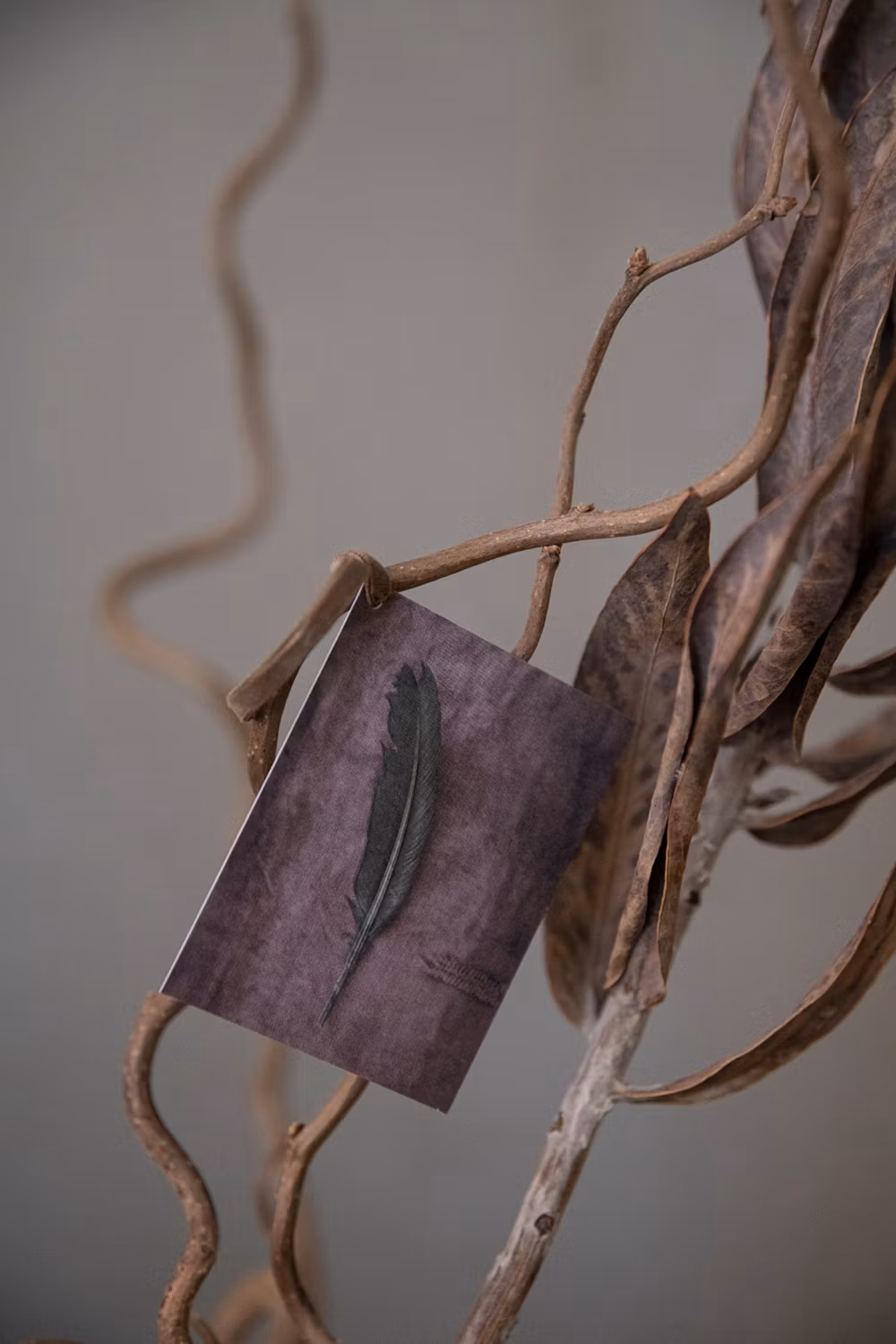 The Green Feather - Greeting card