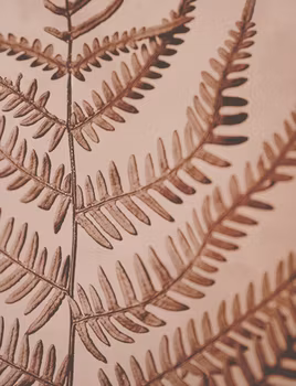 Red Fern - Card
