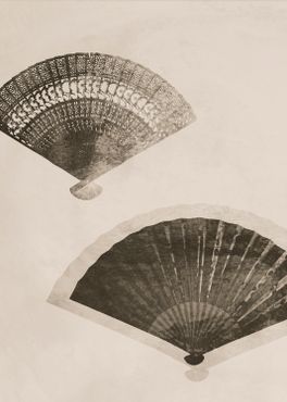 Hand Fans - Art Print