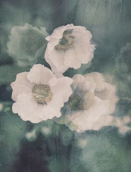 Summer Dream - Flowercard - 20 pack