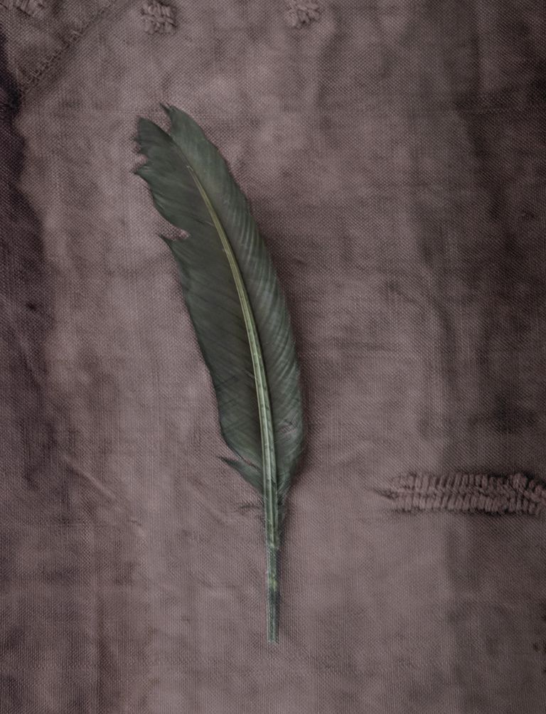 The Green Feather - Flowercard - 20-pack