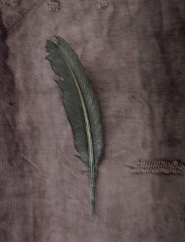 The Green Feather - Flowercard - 20-pack