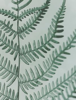 Green Fern - Flowercard - 20-pack