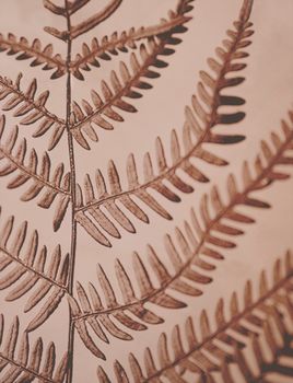 Red Fern - Flowercard - 20-pack