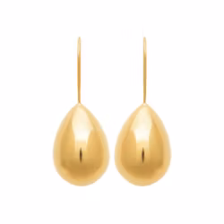 Long Drop Earrings Gold PVD