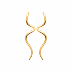 Wave Earrings Gold PVD