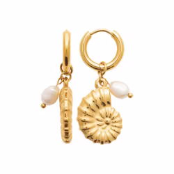 Shell Pearl Earrings Gold PVD