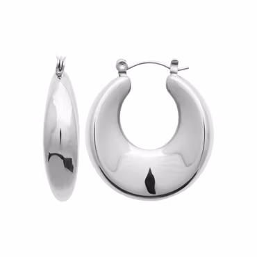 Eve Earrings Steel