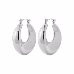 Eve Earrings Steel
