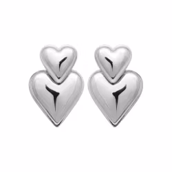 Amore Earrings Steel