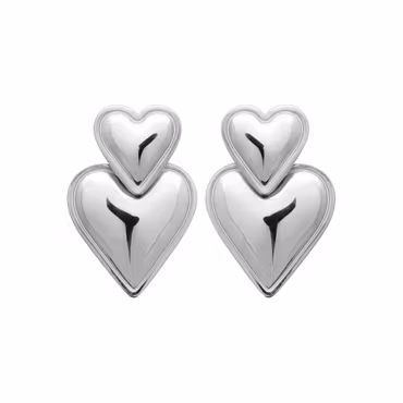 Amore Earrings Steel