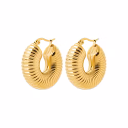 Riviera Hoop Earrings Gold