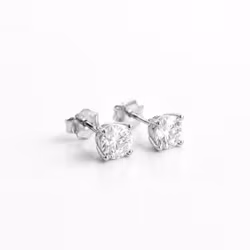 Adrienne Earrings Silver