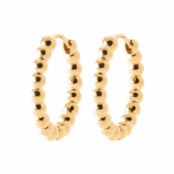 Örhängen Globe Hoops