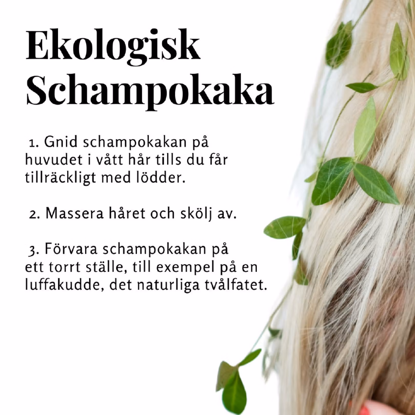 Schampokaka Kamomill, frisörens val!