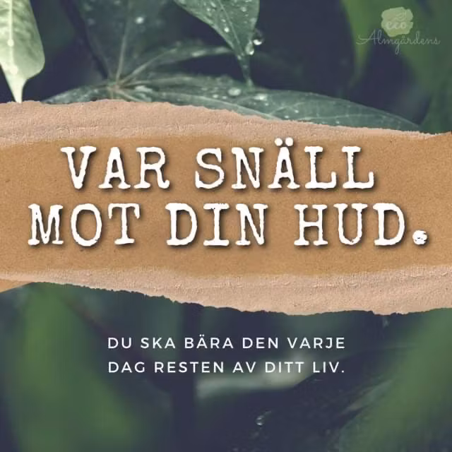 Hyaluronic Moisture Mist +