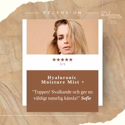 Hyaluronic Moisture Mist +